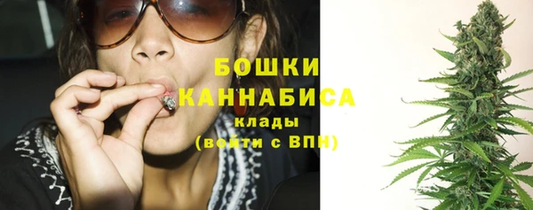 шишки Богородск