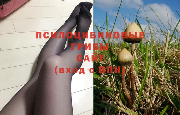 шишки Богородск