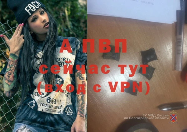 шишки Богородск