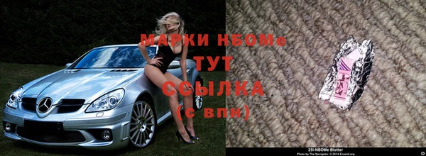 шишки Богородск