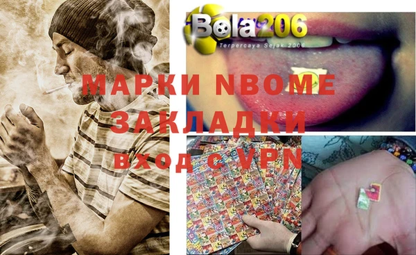 шишки Богородск