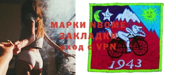 шишки Богородск