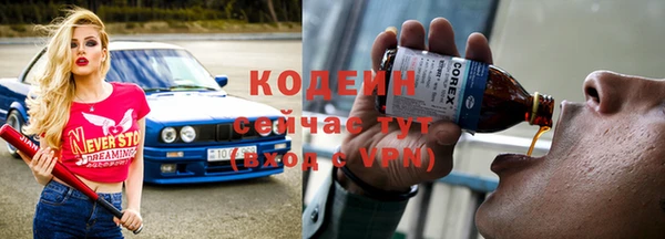 шишки Богородск