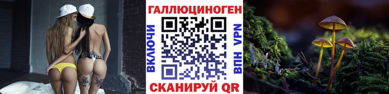 kraken tor  Макаров  Псилоцибиновые грибы Psilocybe  купить наркоту 