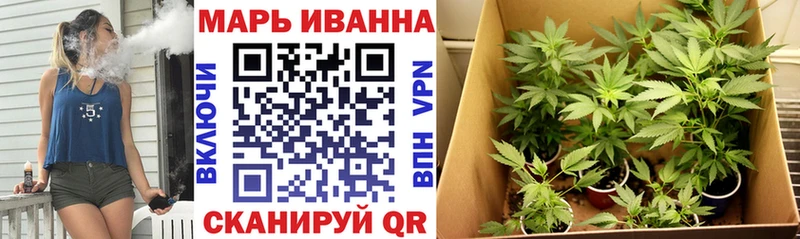 Каннабис конопля Макаров